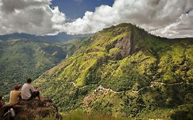 Baagie Homestay